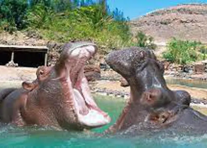 Inviting 1-bed On Castillo Mar Caleta de Fuste