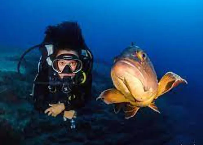 Appartement Inviting 1-bed On Castillo Mar