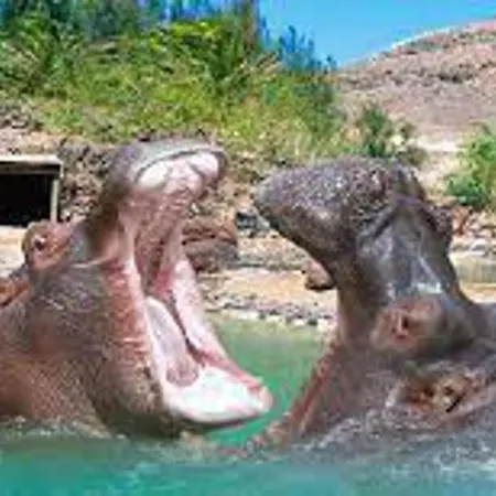 Inviting 1-bed On Castillo Mar Caleta de Fuste