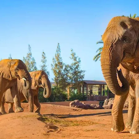 Inviting 1-bed On Castillo Mar * Caleta de Fuste