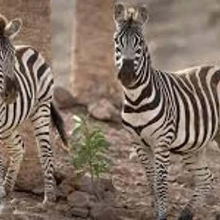 Inviting 1-bed On Castillo Mar Appartement *