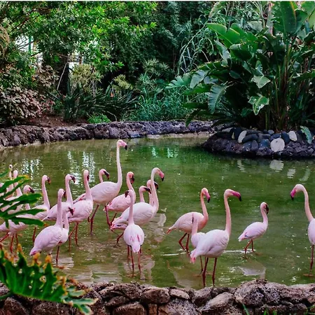 Appartement Inviting 1-bed On Castillo Mar Caleta de Fuste