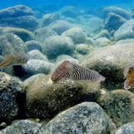 Inviting 1-bed On Castillo Mar