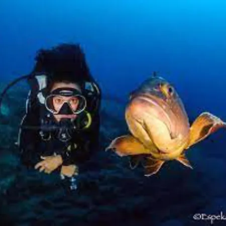 Appartement Inviting 1-bed On Castillo Mar