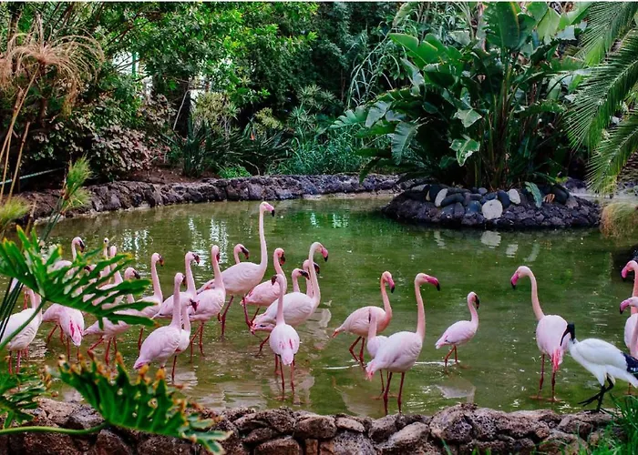 Apartment Inviting 1-bed On Castillo Mar Caleta De Fuste